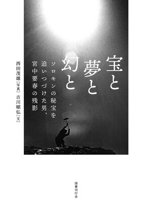 cover image of 宝と夢と幻